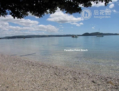 82 One Tree Point Road, One Tree Point, Whangarei, 3房, 0浴