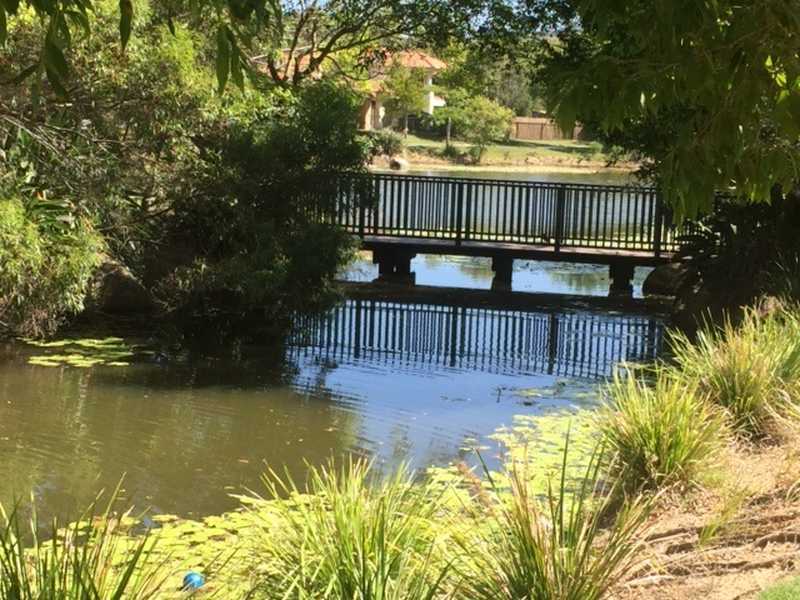 20 ELFIN ST, ROBINA QLD 4226, 0 Bedrooms, 0 Bathrooms, House