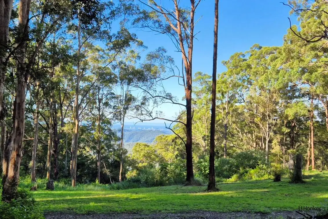 1806 GOLD COAST - SPRINGBROOK RD, Springbrook, Gold Coast, 0 રૂમ, 0 બાથરૂમ, Section