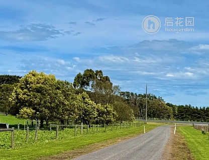 4040 PRINCES HWY, CAMPERDOWN VIC 3260, 0部屋, 0バスルーム, House