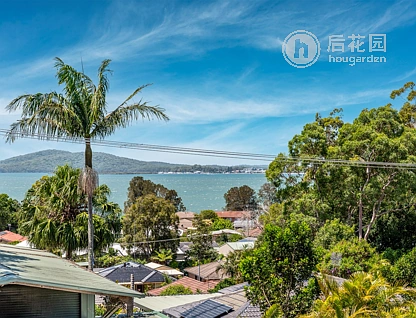 13 WHITBREAD DR, LEMON TREE PASSAGE NSW 2319, 0房, 0浴, House