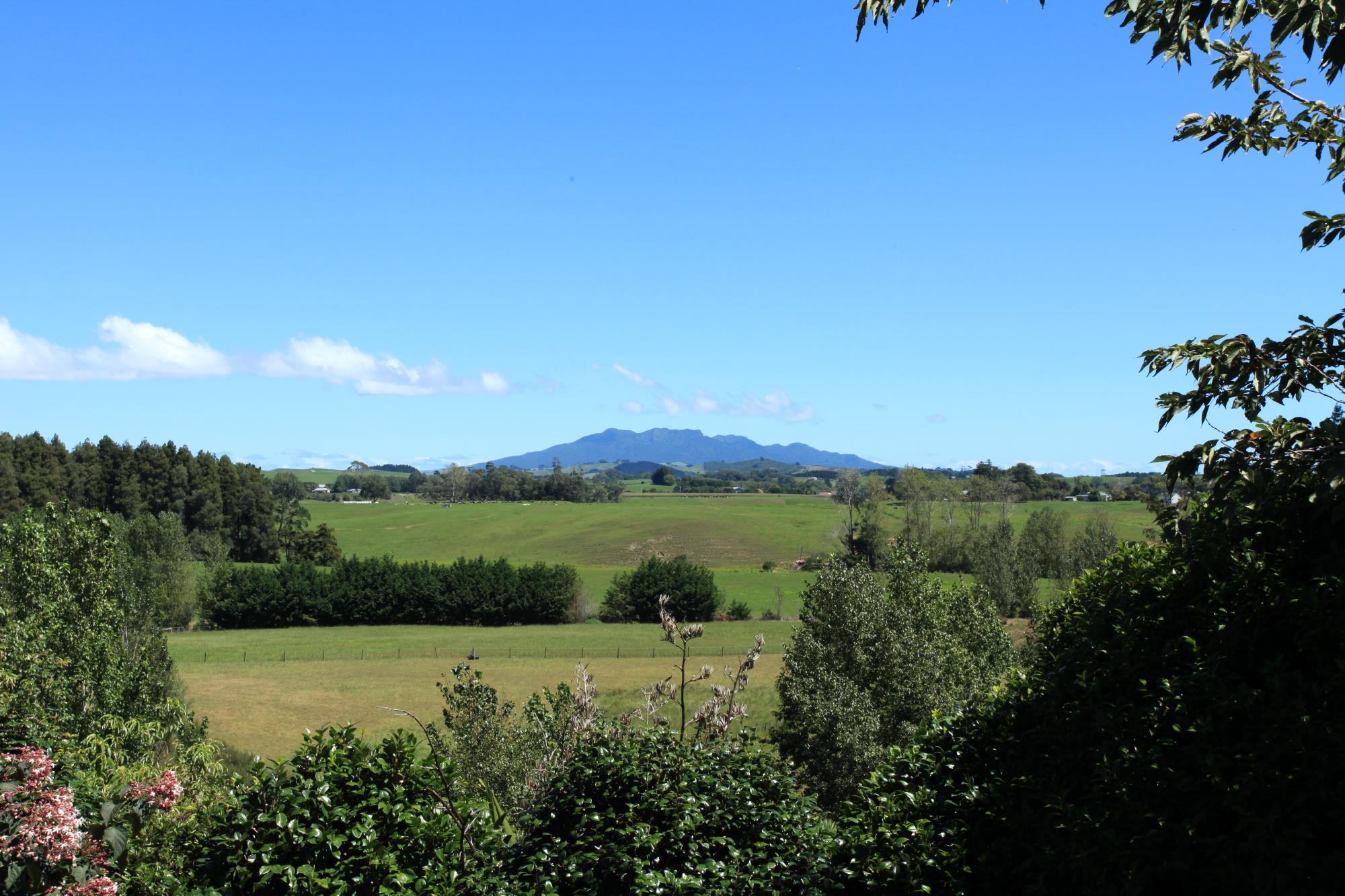 3231 State Highway 23, Raglan, Waikato, 3 Bedrooms, 0 Bathrooms