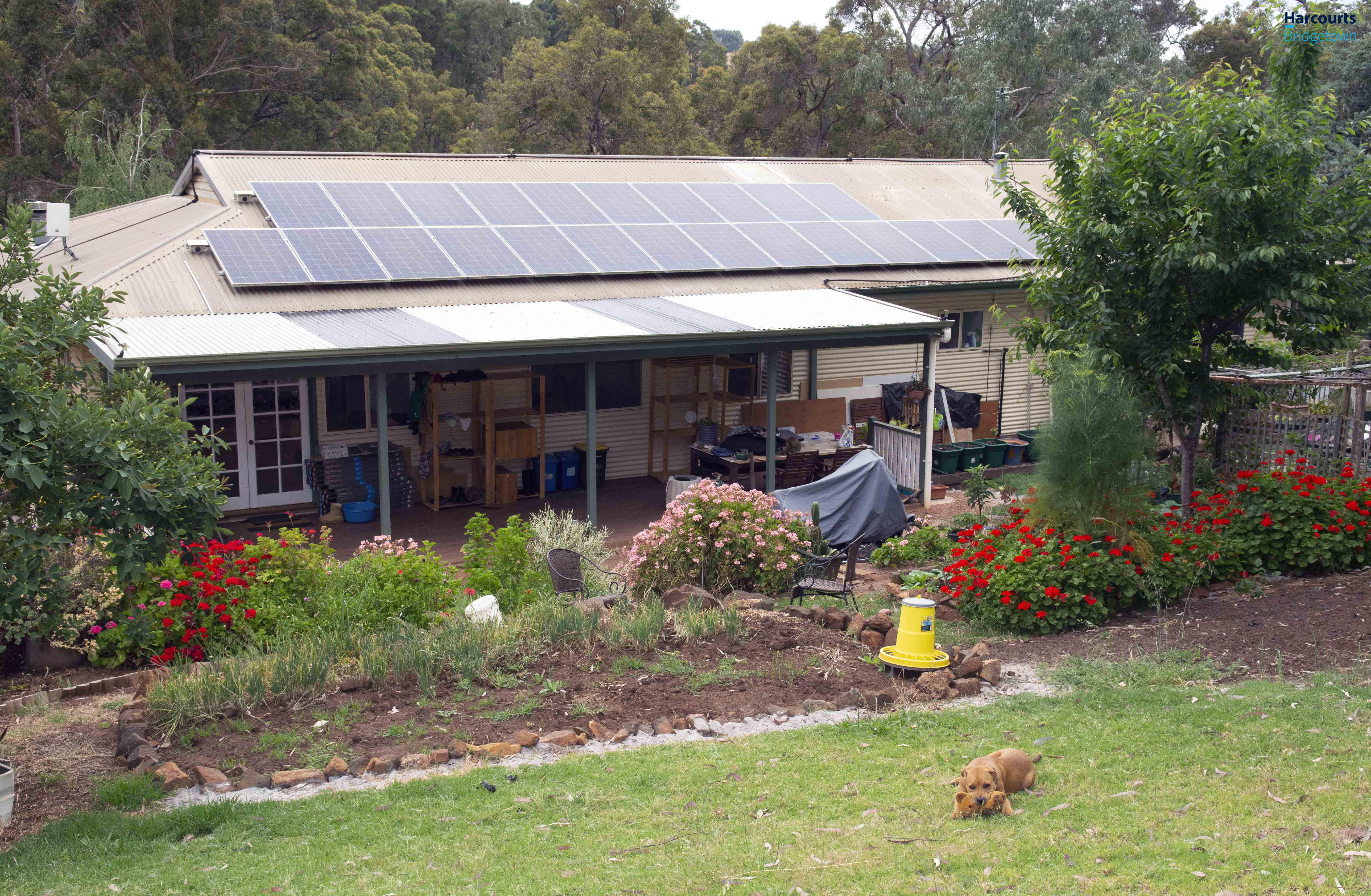 15 WEST BLACKWOOD TCE, Bridgetown, Bunbury, 0 phòng ngủ, 0 phòng tắm, House