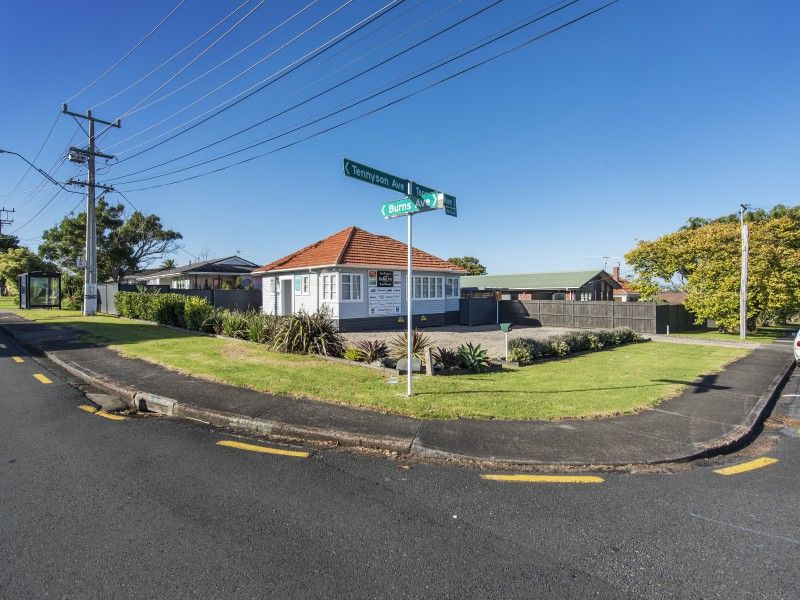 Residential  Terrace Housing and Apartment Building Zone