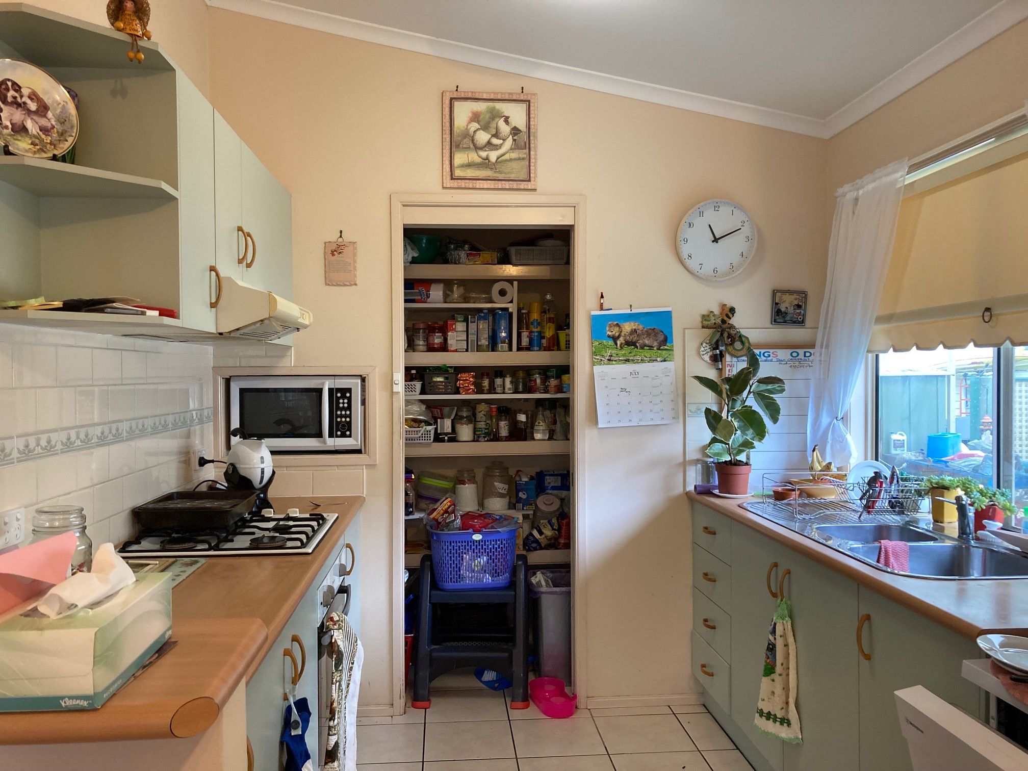 KINCUMBER NAUTICAL VILLAGE 11 JAMES CAMPBELL PL, Kincumber South, Central Coast, 0部屋, 0バスルーム, House
