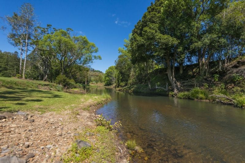 401 TERANIA CREEK RD, Terania Creek, North Coast, 0 Kuwarto, 0 Banyo, Lifestyle Section
