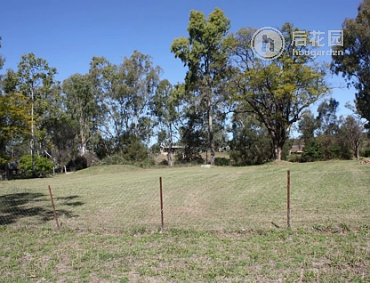 3 GLENLENA AV, RUBYVALE QLD 4702, 0 slaapkamers, 0 badkamers, House