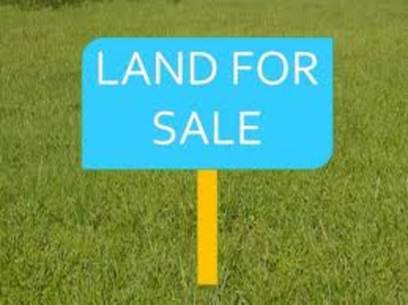 Residential  Mixed Housing Suburban Zone