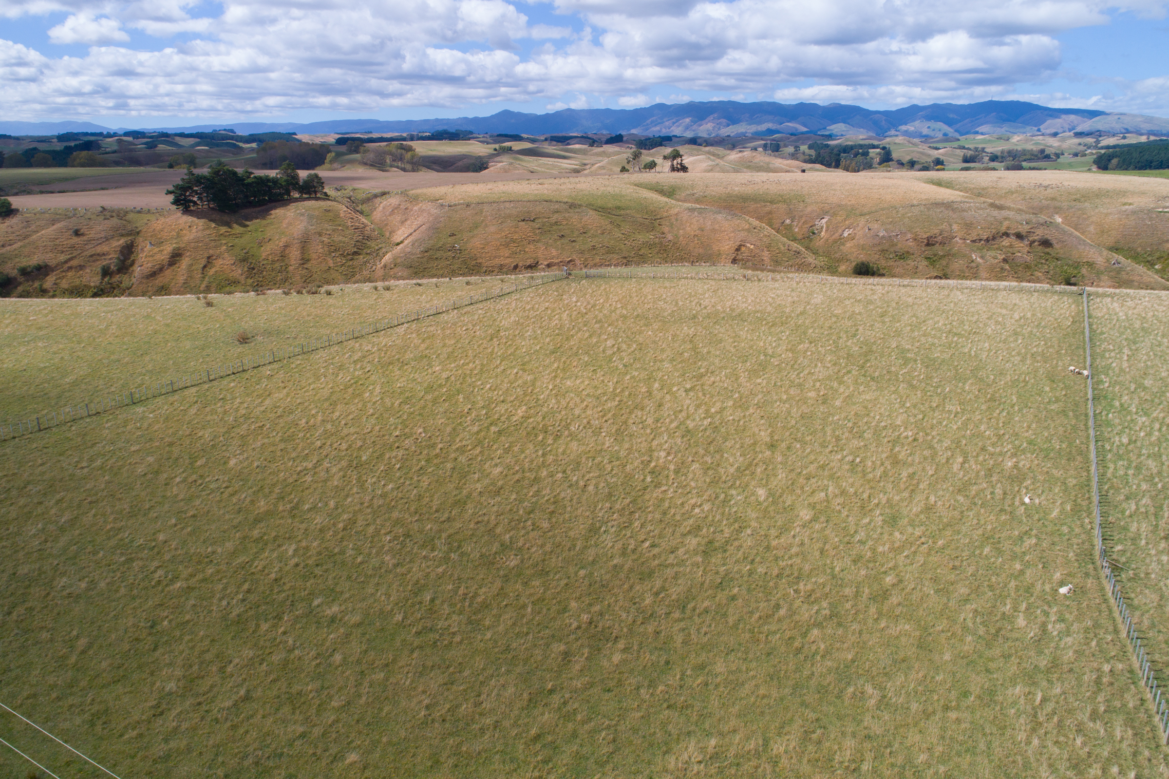 1052 Taonui Road, Feilding, Manawatu, 0 રૂમ, 0 બાથરૂમ, Lifestyle Section