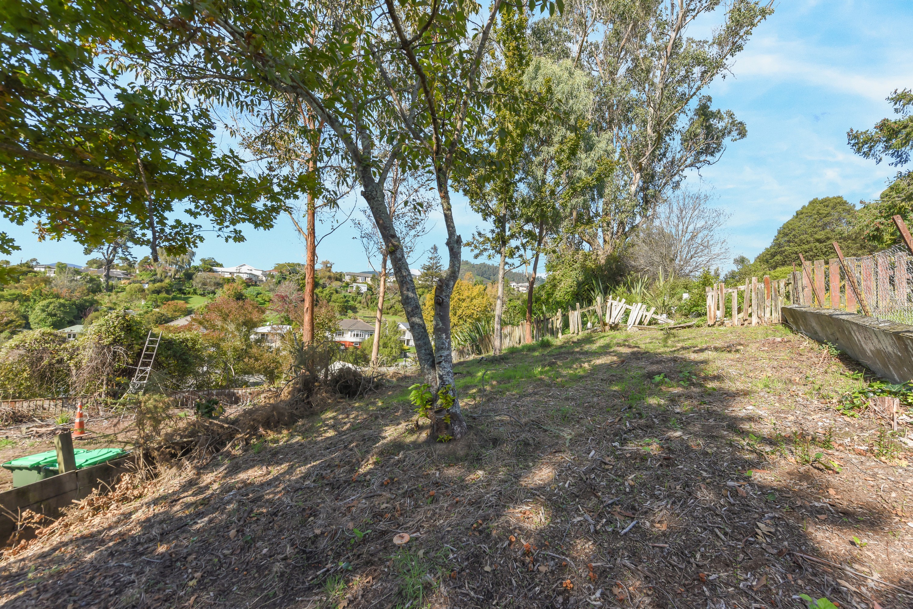 28a Murphy Street, Toi Toi, Nelson, 3房, 1浴, House