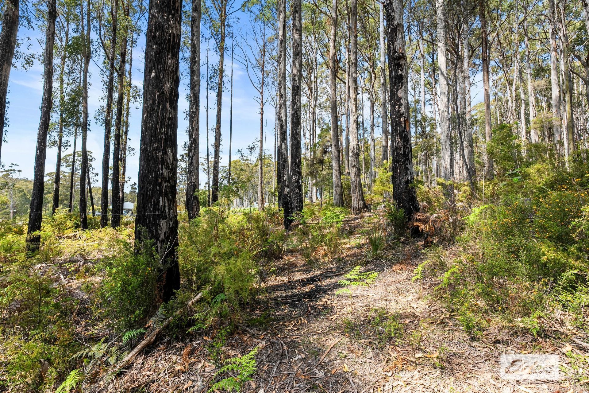 21 BIENEFELTS RD, Turners Beach, West and North West, 0房, 0浴, Section