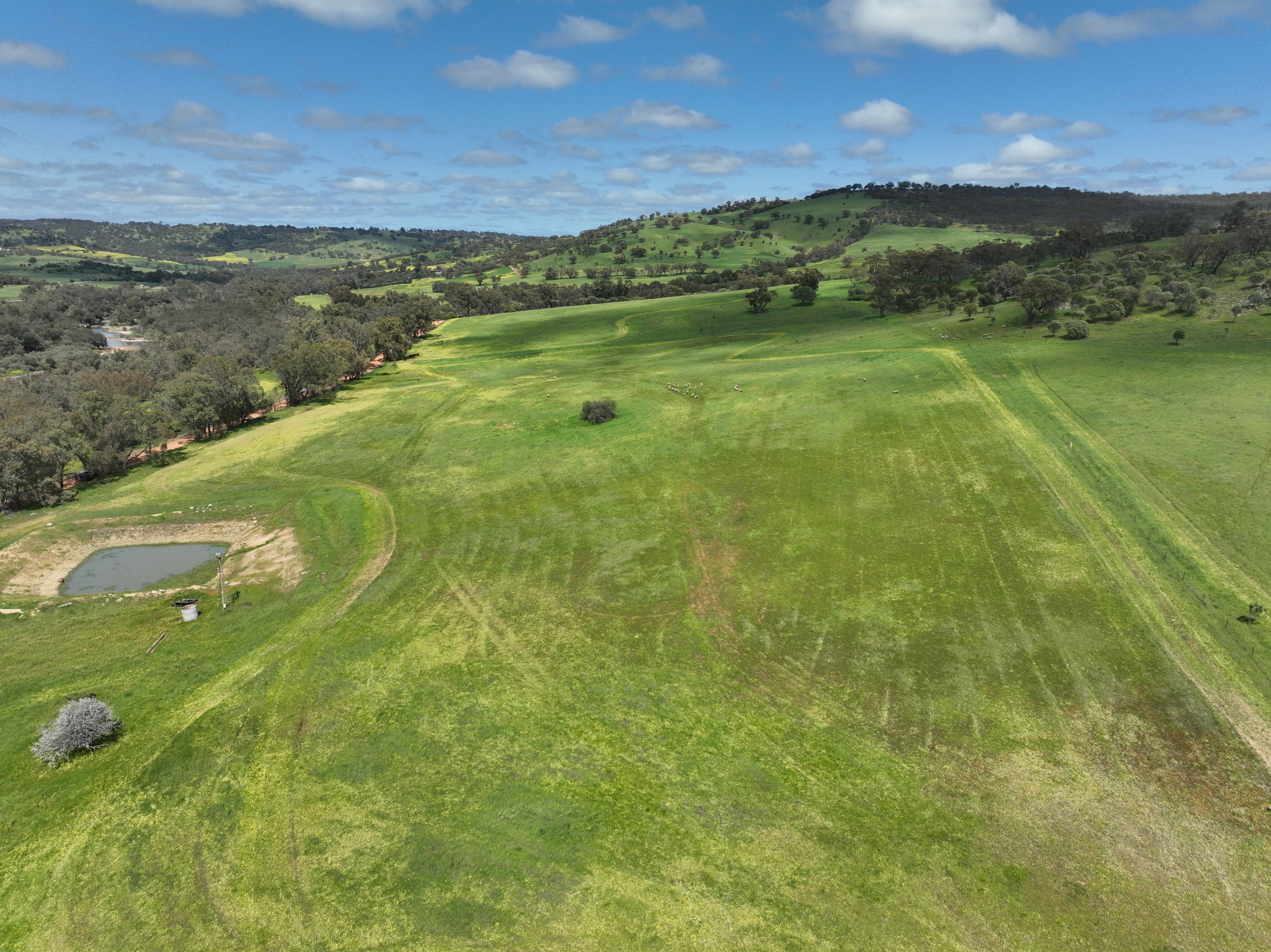 10 DEEPDALE RD, West Toodyay, Wheat Belt, 0 침실, 0 욕실, Section