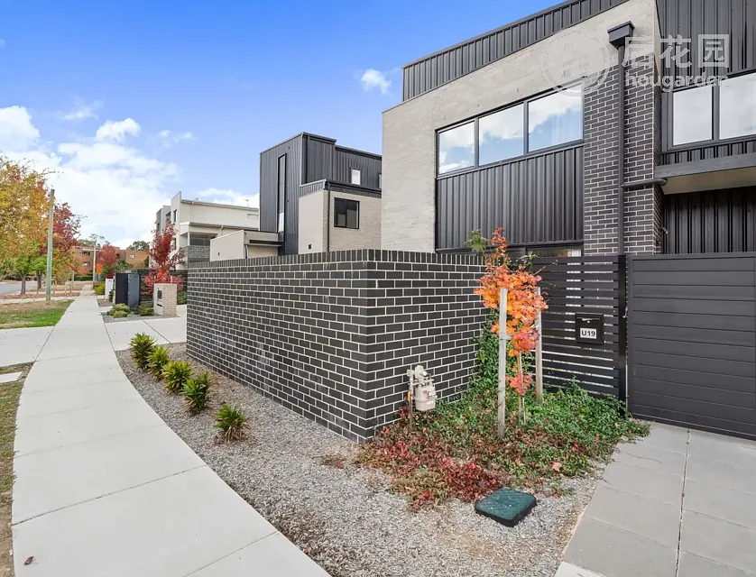 8 BERRIGAN CR, O'CONNOR ACT 2602, 0房, 0浴, Townhouse