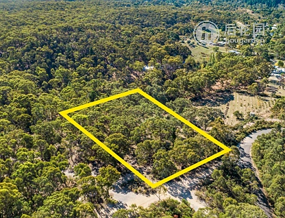 113 ADELAIDE STREET, CHEWTON, 0 Kuwarto, 0 Banyo, Section