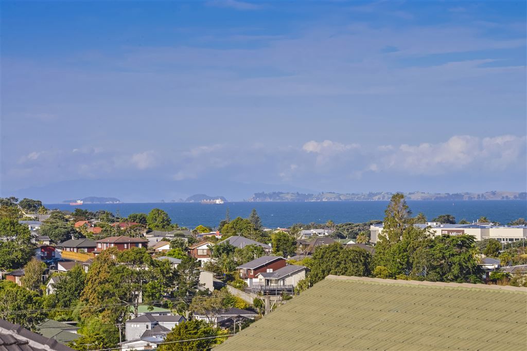 Residential  Mixed Housing Suburban Zone