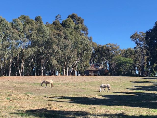 278 HENDERSON RD, Kangaroo Gully, Bunbury, 0 ห้องนอน, 0 ห้องน้ำ, House