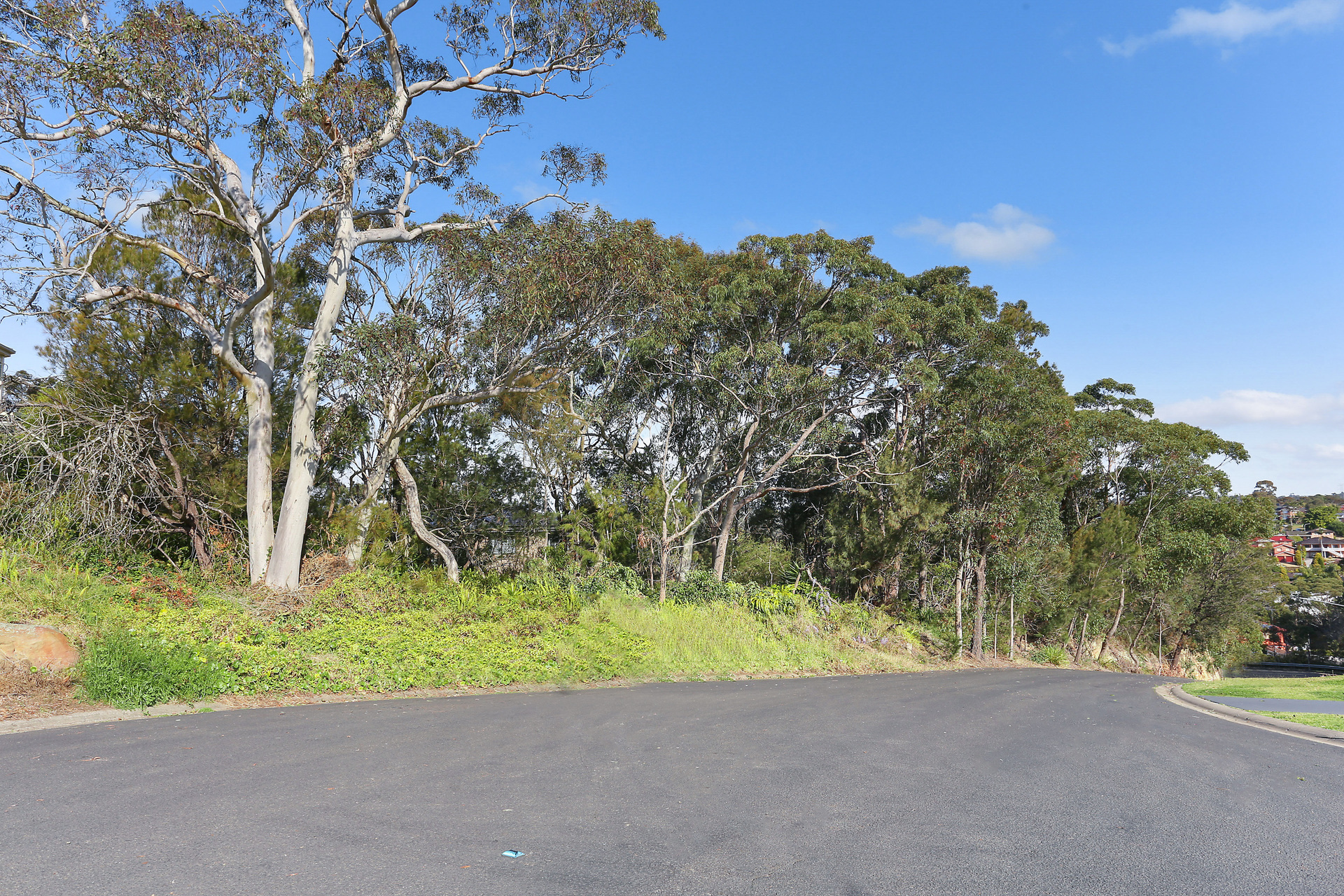 47 AUSTRALIA RD, Barden Ridge, Sutherland Shire, 0 Bedrooms, 0 Bathrooms, Section