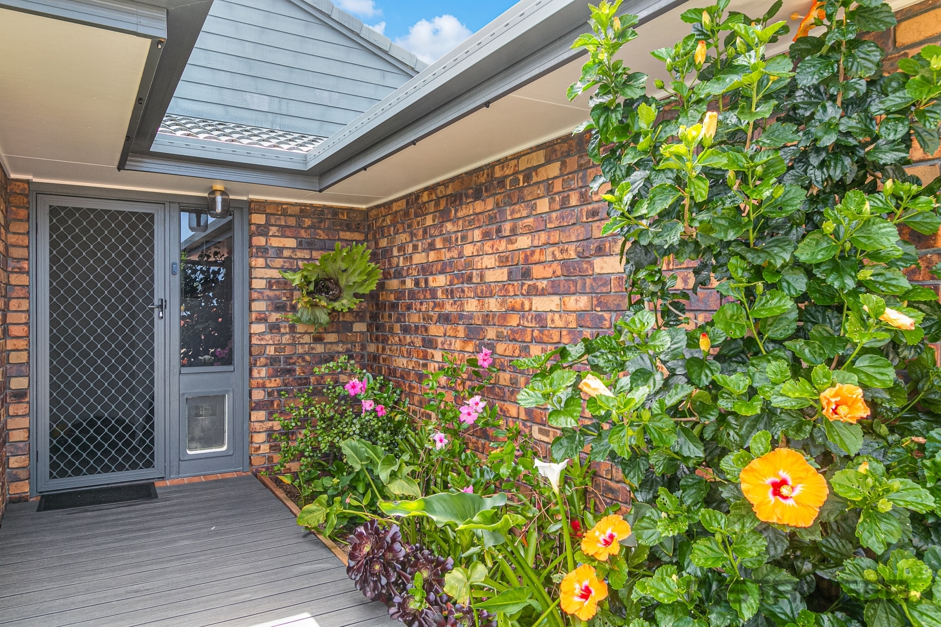 27 OAKLAND PDE, Banora Point, North Coast, 0 ห้องนอน, 0 ห้องน้ำ, House