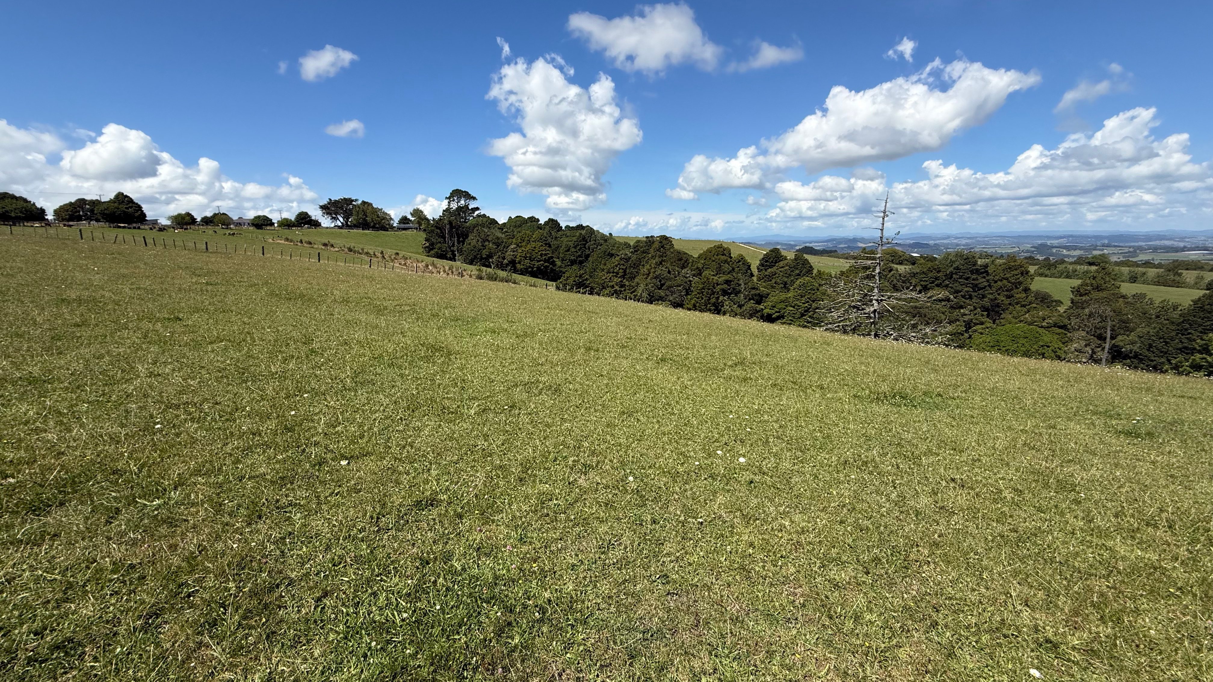 1013 Wiroa Road, Okaihau, Far North, 0 Bedrooms, 0 Bathrooms, Lifestyle Section
