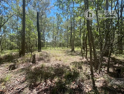 2152 SANDY CREEK RD, DOWNSFIELD QLD 4570, 0 રૂમ, 0 બાથરૂમ, Section
