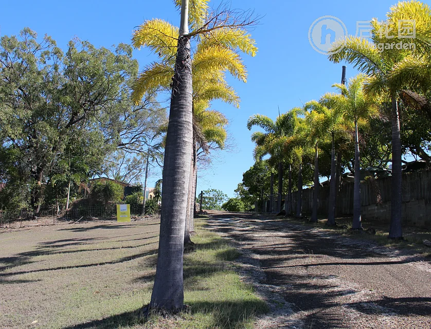 7 DAVIS ST, MOUNT LARCOM QLD 4695, 0 ห้องนอน, 0 ห้องน้ำ, House