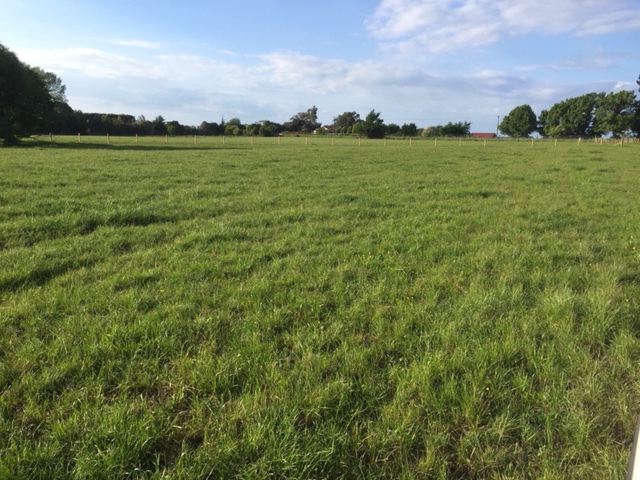 2211 State Highway 3, Sanson, Manawatu, 3 Bedrooms, 0 Bathrooms