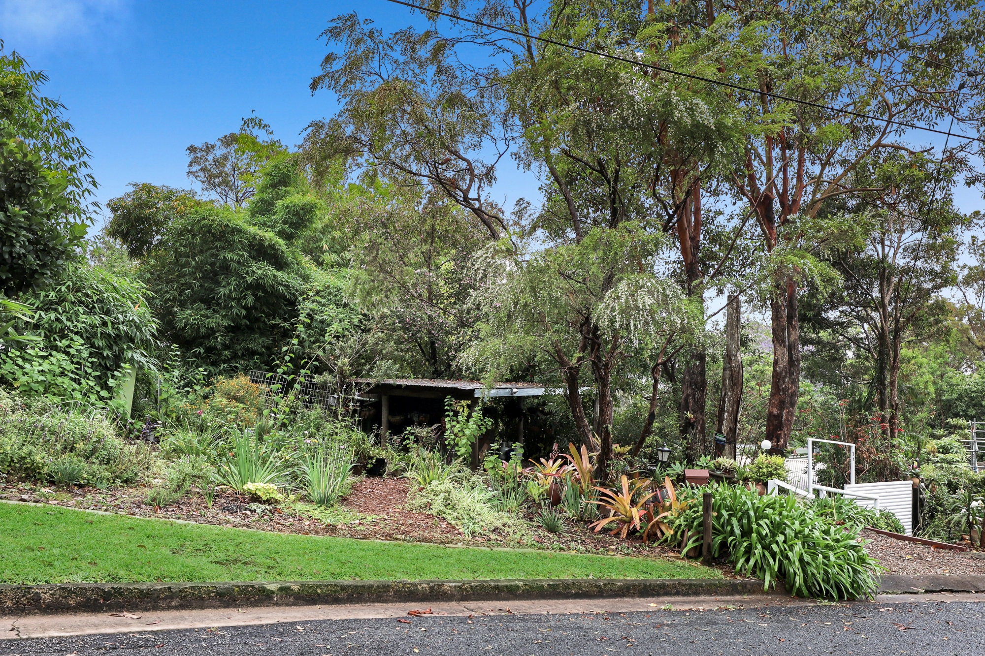 14 SALVIA DR, Tamborine Mountain, Gold Coast, 0房, 0浴, House