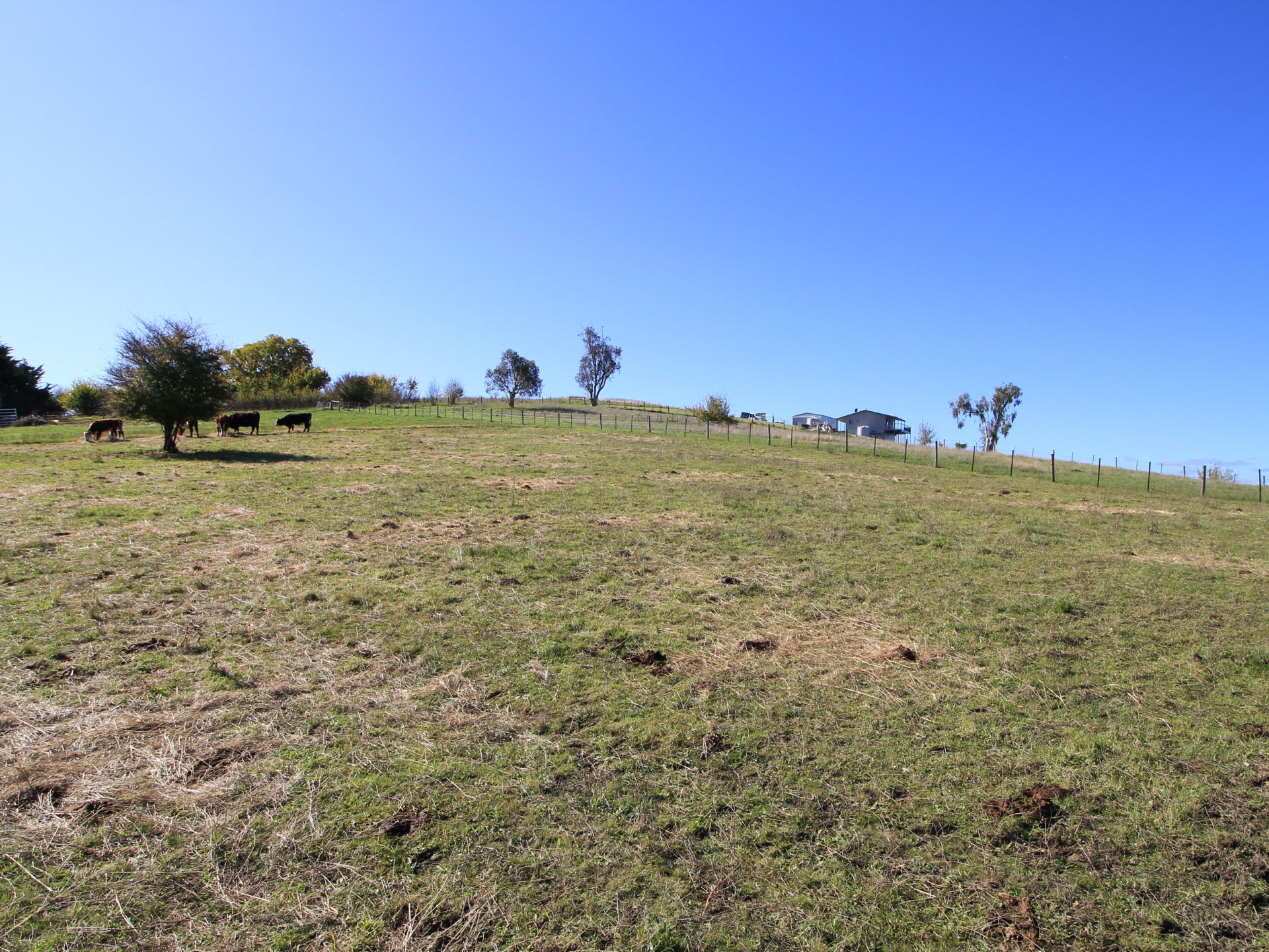 59 MACFARLANE ST, Benambra, Bairnsdale (North Gippsland), 0房, 0浴, Section