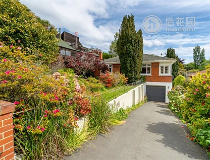 14 Mcgregor Street, Opoho, Dunedin, 3房, 0浴