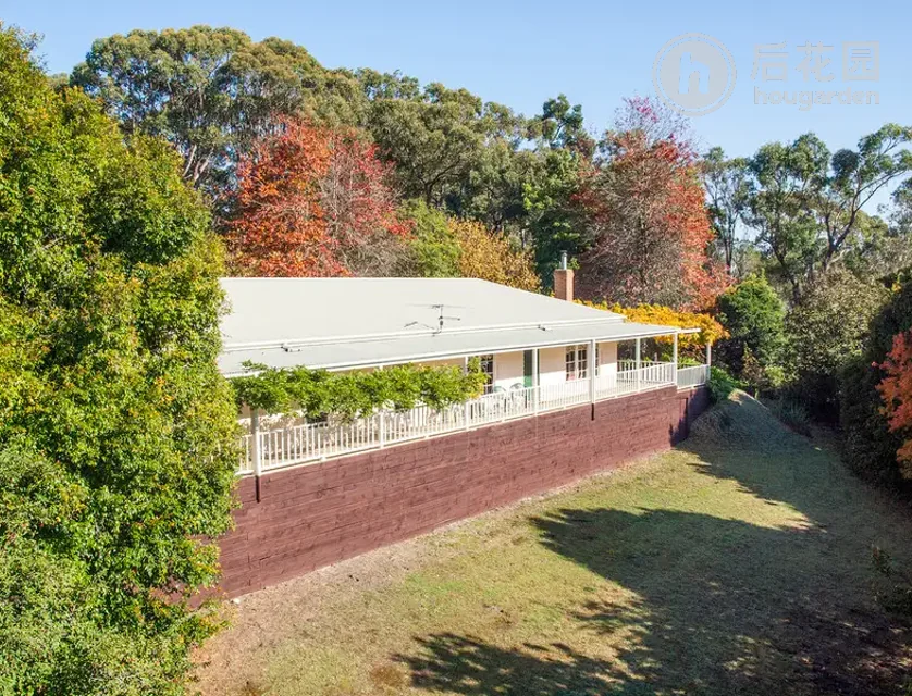 2730 COLAC-FORREST RD, FORREST VIC 3236, 0房, 0浴, Lifestyle Section