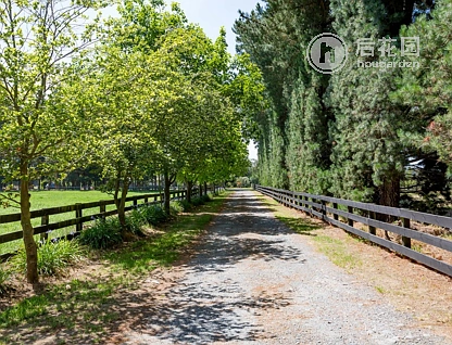 942 Ellesmere Junction Road, Burnham, Selwyn, 4房, 0浴