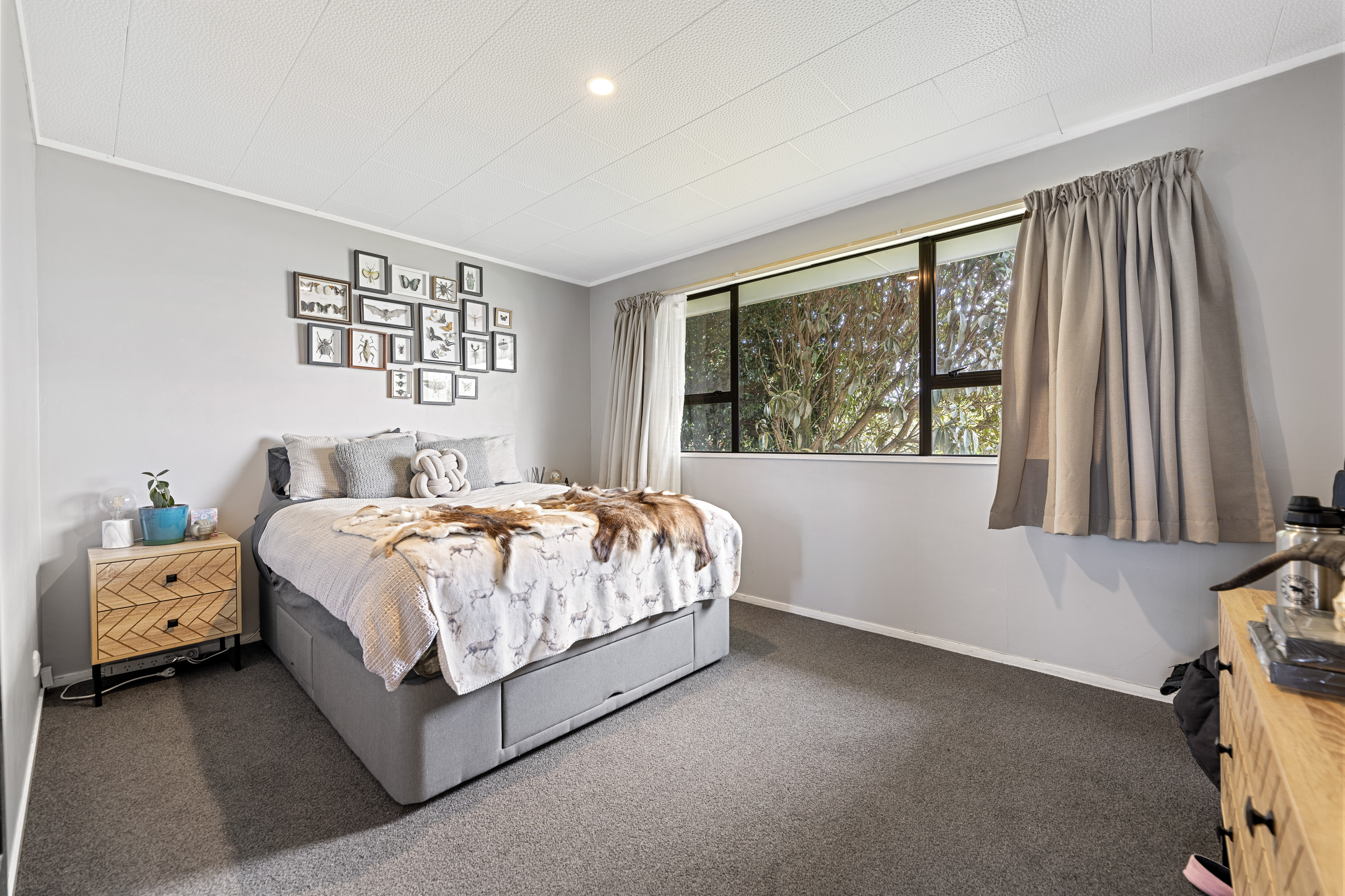 1 Waitara Place, Tokoroa, South Waikato, 3 कमरे, 1 बाथरूम, House