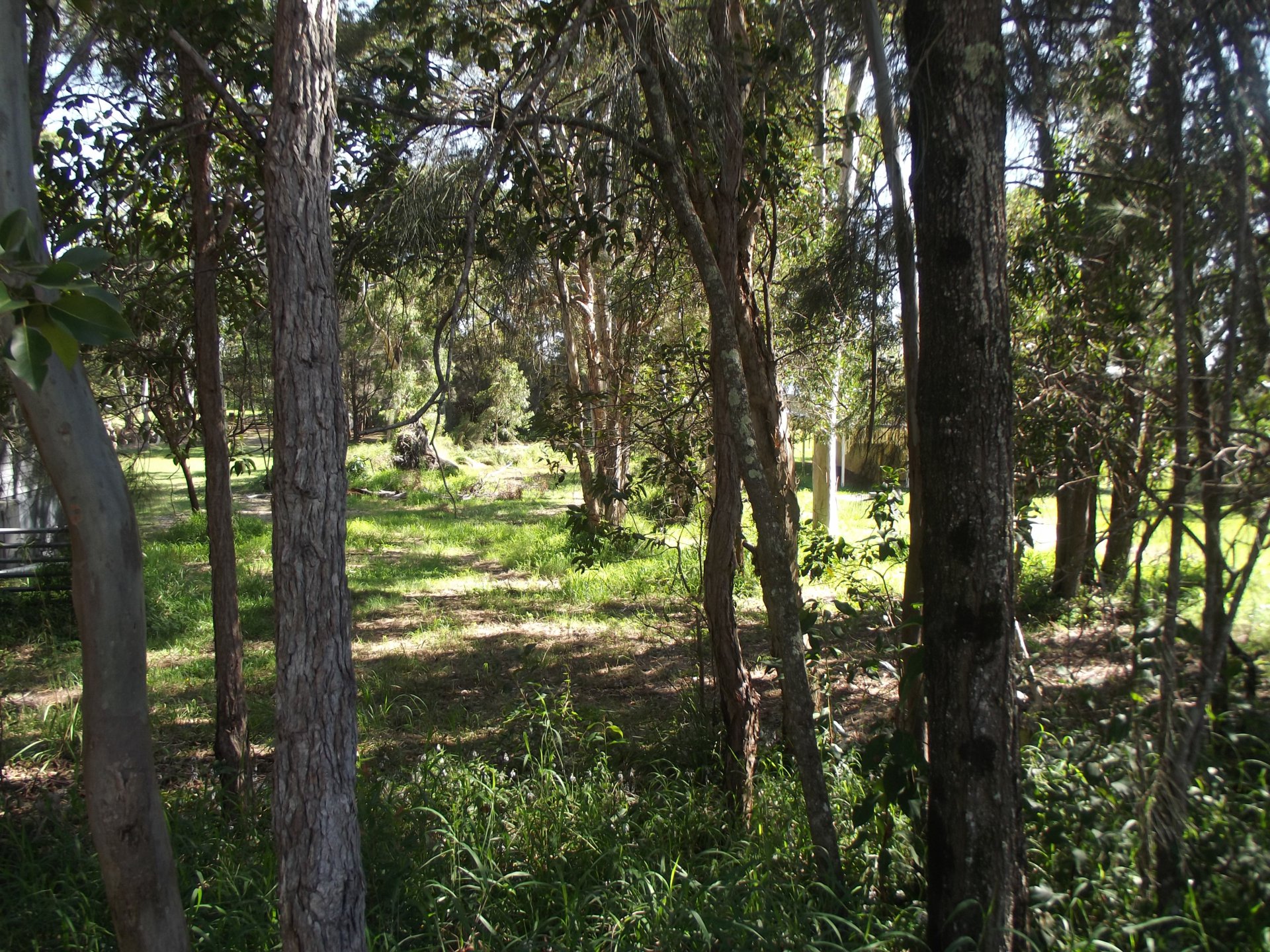 67 COONDOOROOPA DR, Macleay Island, Redland City Region, 0 ਕਮਰੇ, 0 ਬਾਥਰੂਮ, Section