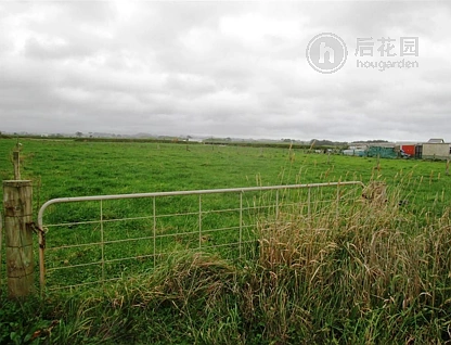 4 Anglers Way, Wattle Downs, Auckland - Manukau, 3房, 1浴