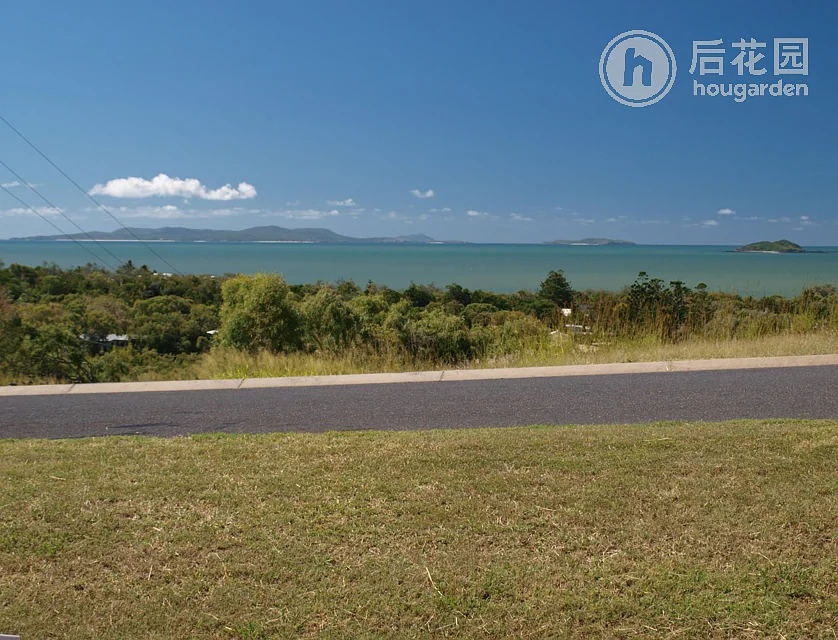 10 VERNON ST, EMU PARK QLD 4710, 0部屋, 0バスルーム, House