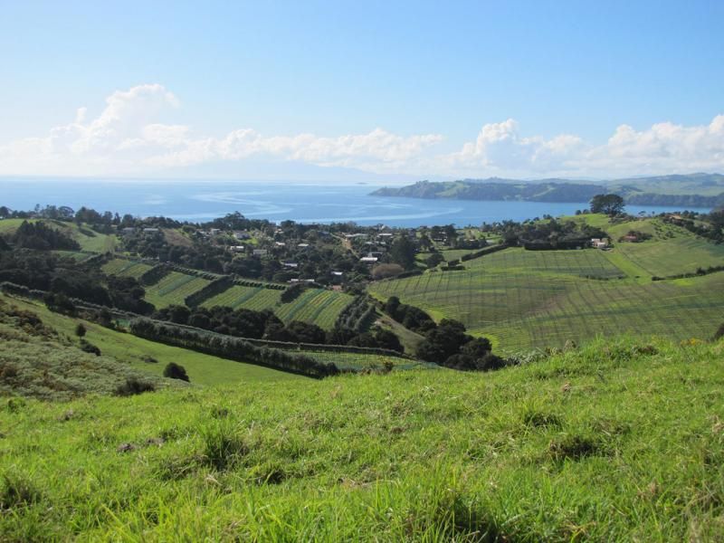 Hauraki Gulf Islands