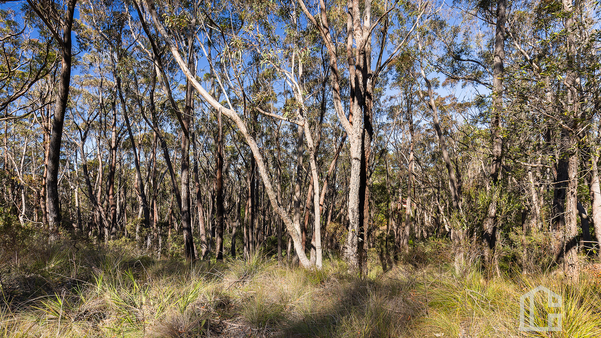 19-23 DUPERRY ST, Wentworth Falls, Blue Mountains - Region, 0 ห้องนอน, 0 ห้องน้ำ, Section