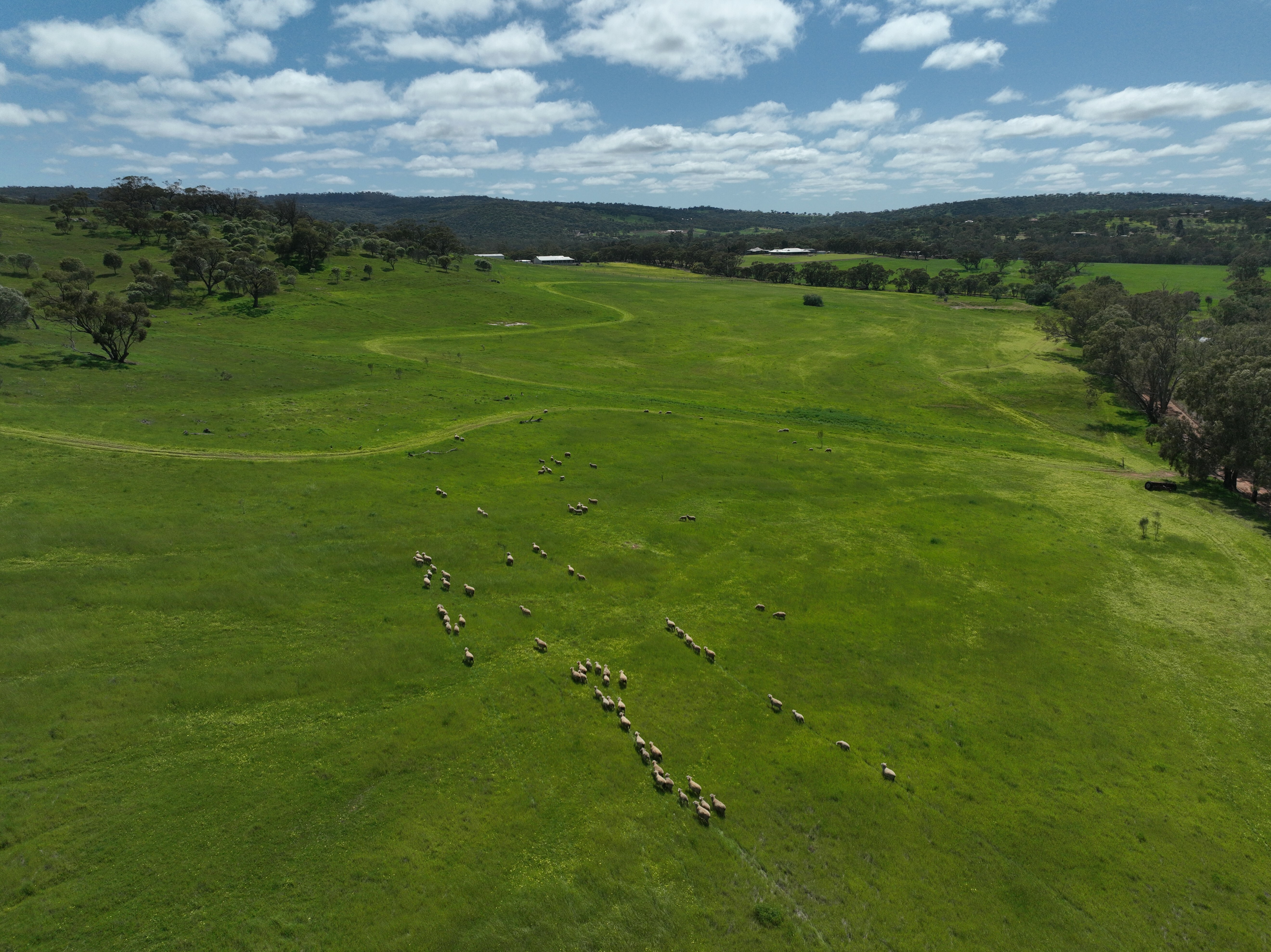10 DEEPDALE RD, West Toodyay, Wheat Belt, 0 침실, 0 욕실, Section