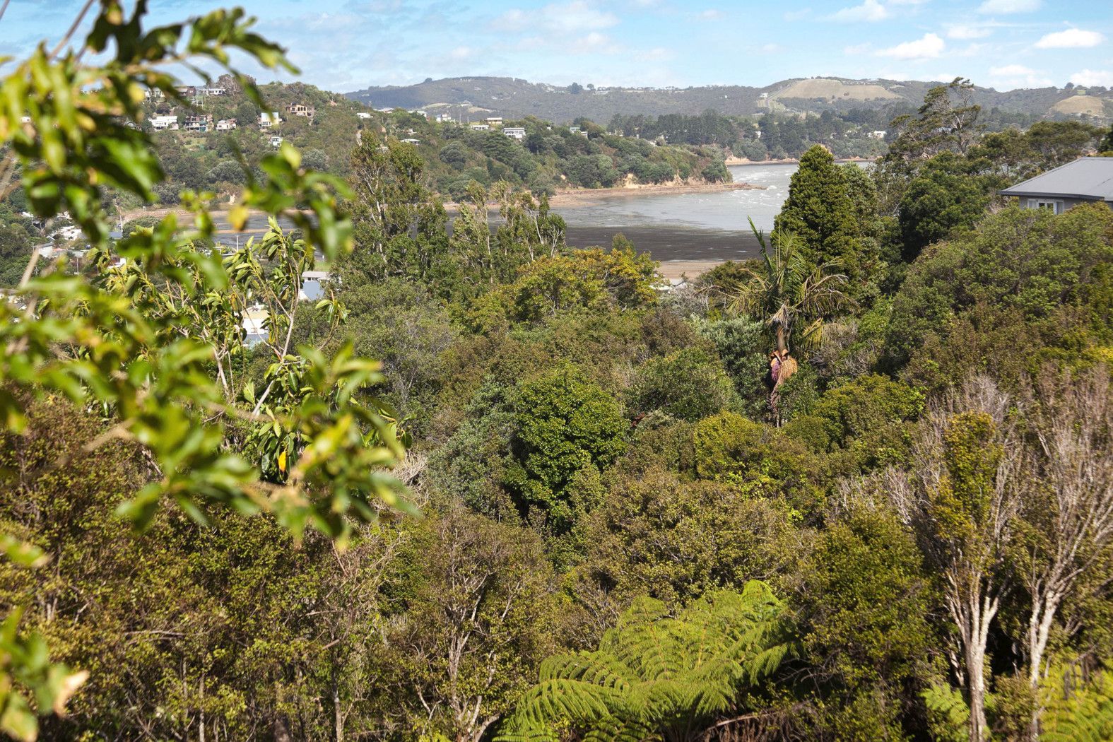 Hauraki Gulf Islands
