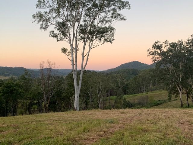 127 APPALOOSA DR, Conondale, Sunshine Coast, 0部屋, 0バスルーム, Section