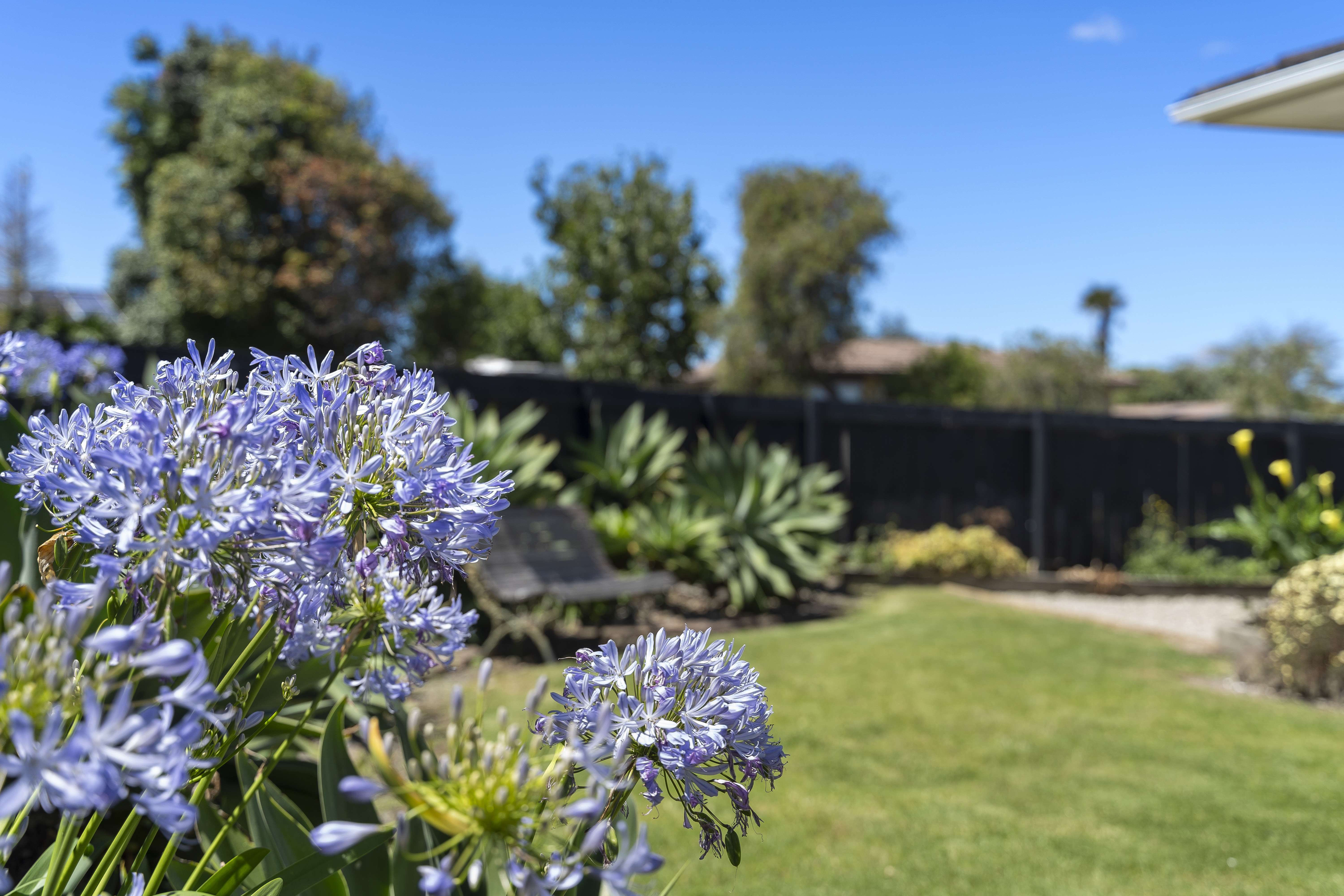 3/16 Helms Place, Manurewa, Manukau City, 3 રૂમ, 1 બાથરૂમ, House