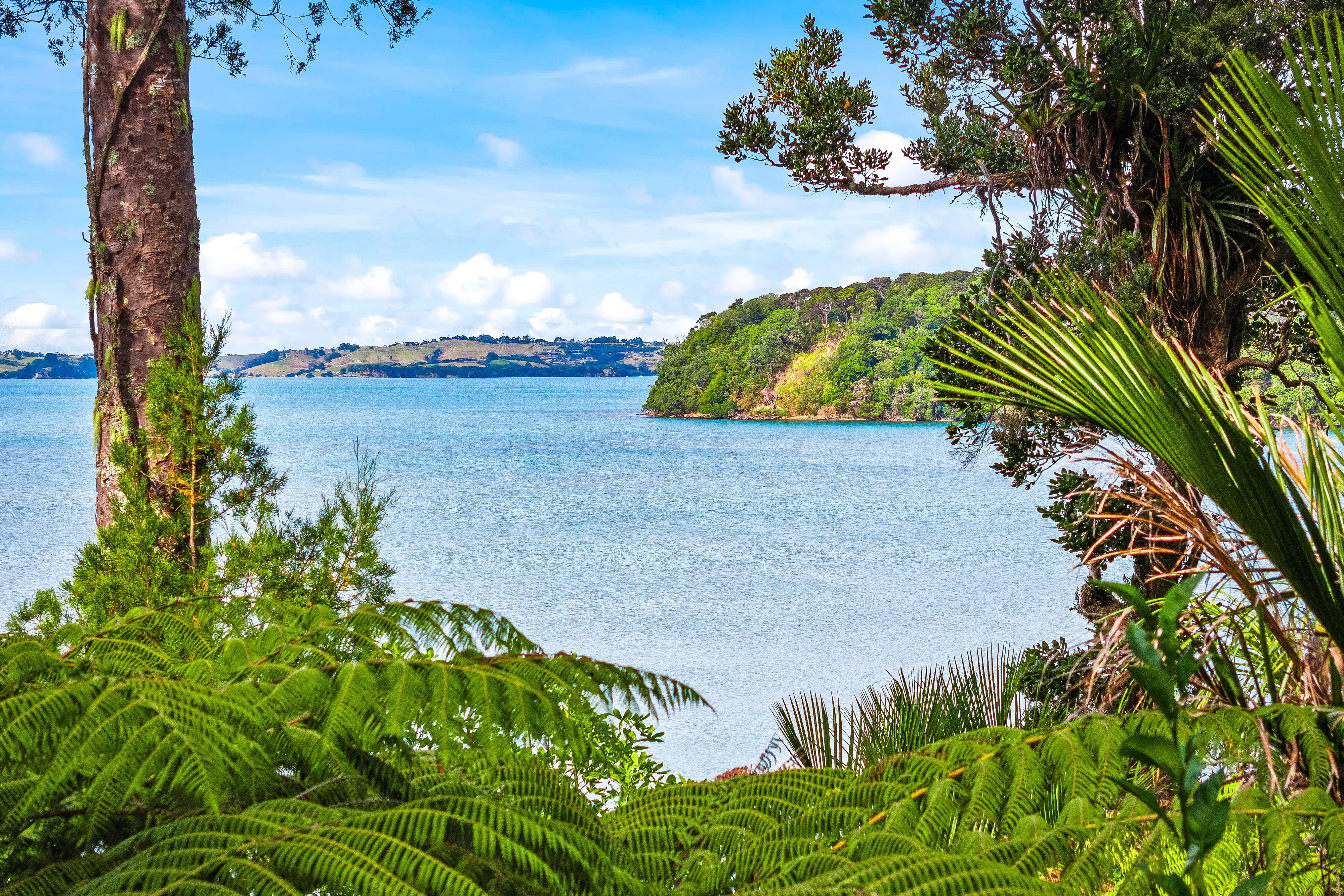 16 Clinton Road, Tawharanui Peninsula