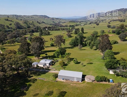 2288 BEECHWORTH-WODONGA RD, LENEVA VIC 3691, 0 ਕਮਰੇ, 0 ਬਾਥਰੂਮ, Lifestyle Section