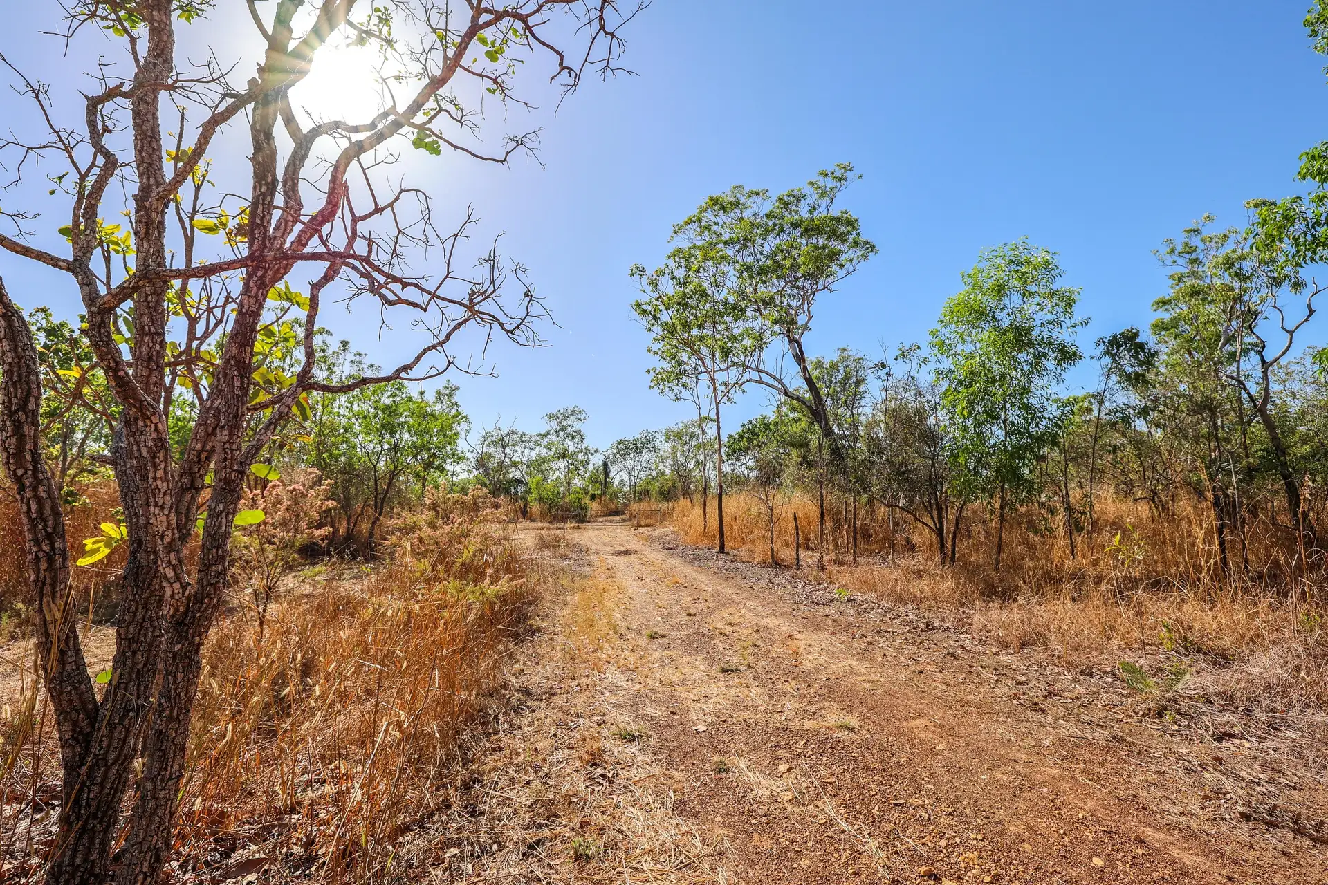 727 REEDBEDS RD, Darwin River, Litchfield, 0 Kuwarto, 0 Banyo, Section