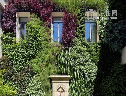 29 CHALLIS AV, POTTS POINT NSW 2011, 0房, 0浴, House