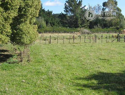 8 Stanly Street, Eketahuna, Tararua, 3 રૂમ, 1 બાથરૂમ