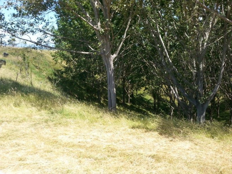 694 Makino Road, Feilding, Manawatu, 0 ਕਮਰੇ, 1 ਬਾਥਰੂਮ