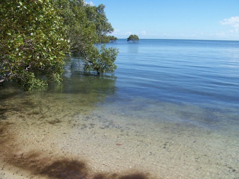 67 COONDOOROOPA DR, Macleay Island, Redland City Region, 0 ਕਮਰੇ, 0 ਬਾਥਰੂਮ, Section