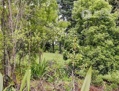 88a Bader Street, Bader, Hamilton, 3 ਕਮਰੇ, 0 ਬਾਥਰੂਮ