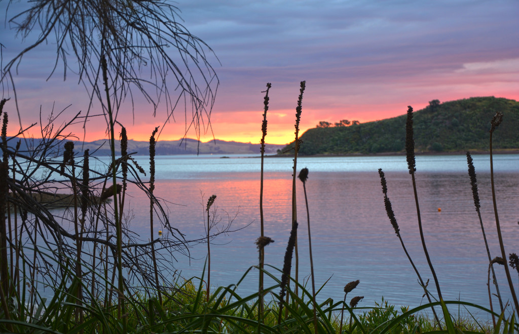 Hauraki Gulf Islands